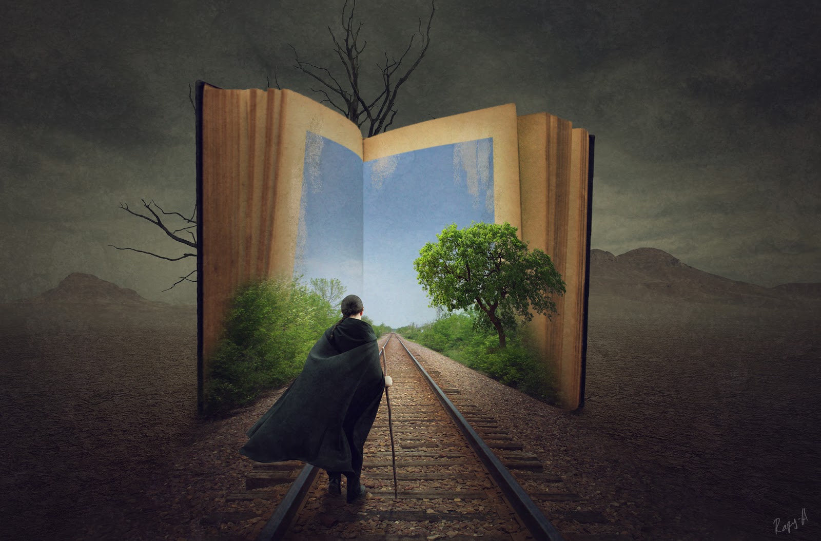 Book Editing Services