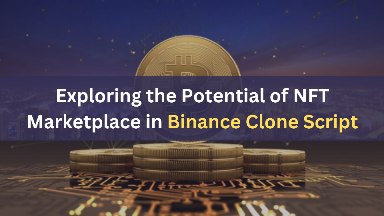 Exploring the Potential of NFT Marketplace in Binance Clone Script