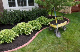How to Master Lawn Maintenance in Millstone, NJ: Essential Tips and Advice