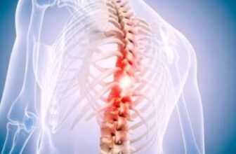 Best Spine Surgeon at Narayana Hospital: Contact the Best Neurosurgeon in Kolkata