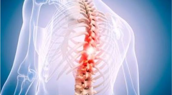Best Spine Surgeon at Narayana Hospital: Contact the Best Neurosurgeon in Kolkata