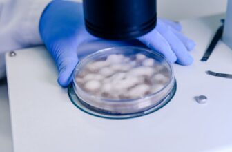 Protein Ag Magnetic Beads