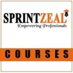 Profile picture of ISO 27001 Lead Auditor Certification Training In Boston MA