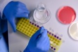 How Does Magnetic Beads Protein Purification Support Automation?