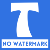 How do you save a TikTok without the watermark?