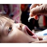 Global Oral Vaccines  Market 2019-2024| Applications Analysis and Key Players