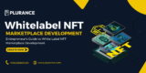 Entrepreneur’s Guide to White Label NFT Marketplace Development