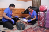 Why hire Professional Movers for your Next Relocation?