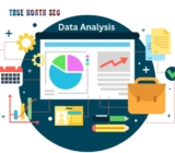 True North SEO Get SEO Success by Data Analysis