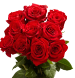 Effortless Elegance: Same-Day Flower Delivery by Naz Flowers and Gifts in Melbourne