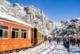 Love Blossoms Amidst the Snow Capped Peaks of Shimla